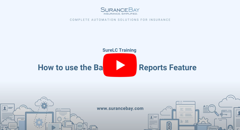 Click Here Watch The Background Report Training Video